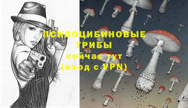 a pvp Горно-Алтайск